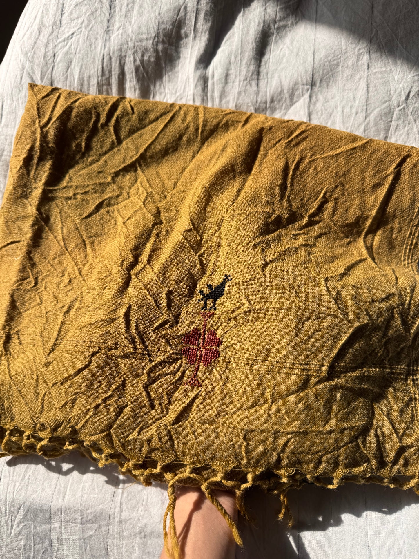 Naturally Dyed Kashmir Scarf